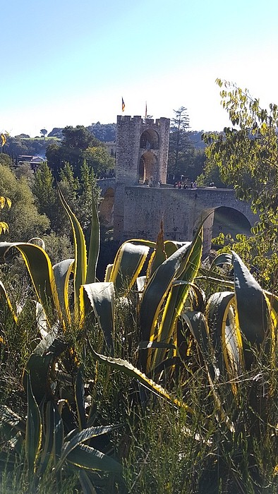 espagne bagnoles 11-2016   037