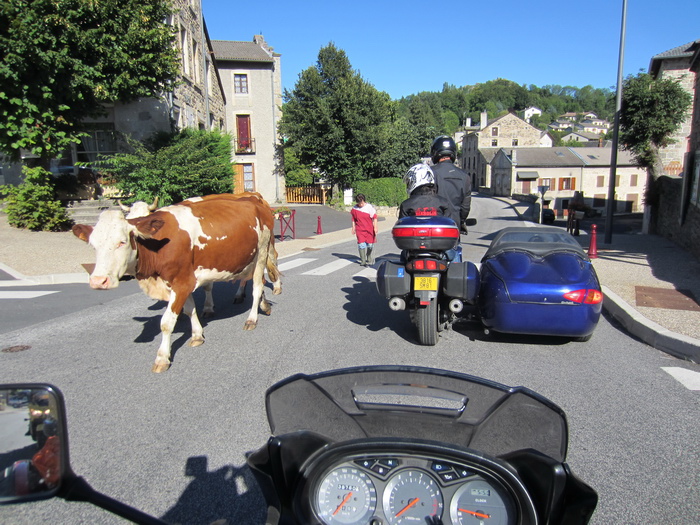 040  Laguiole 2011