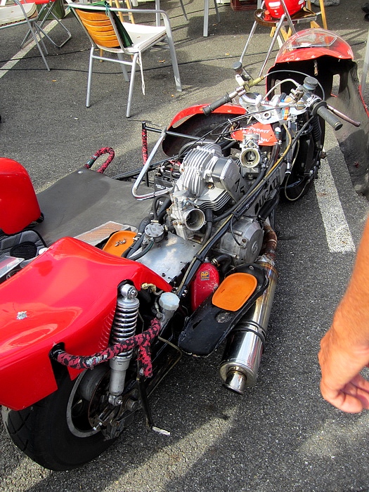 037  Coyote 2011 