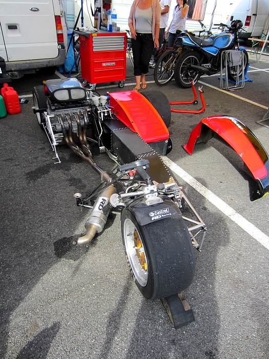 038  Coyote 2011 