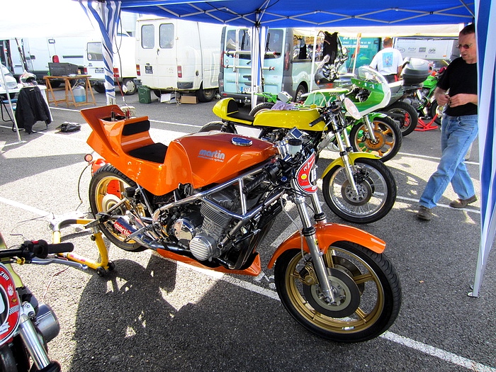 042  Coyote 2011 