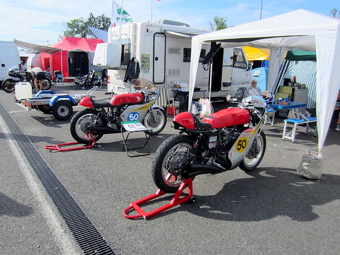 047  Coyote 2011 