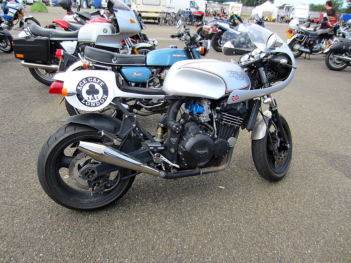 072  Coyote 2011 
