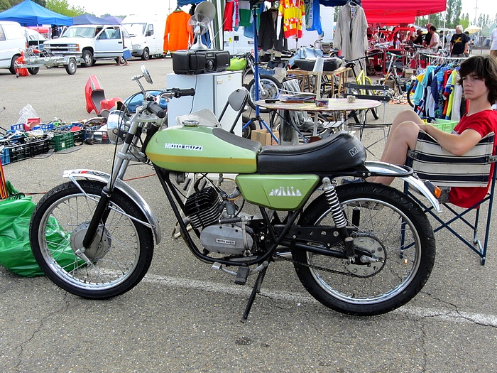 074  Coyote 2011 