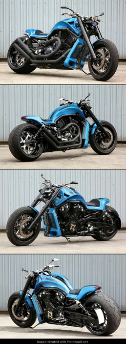 Moto 309